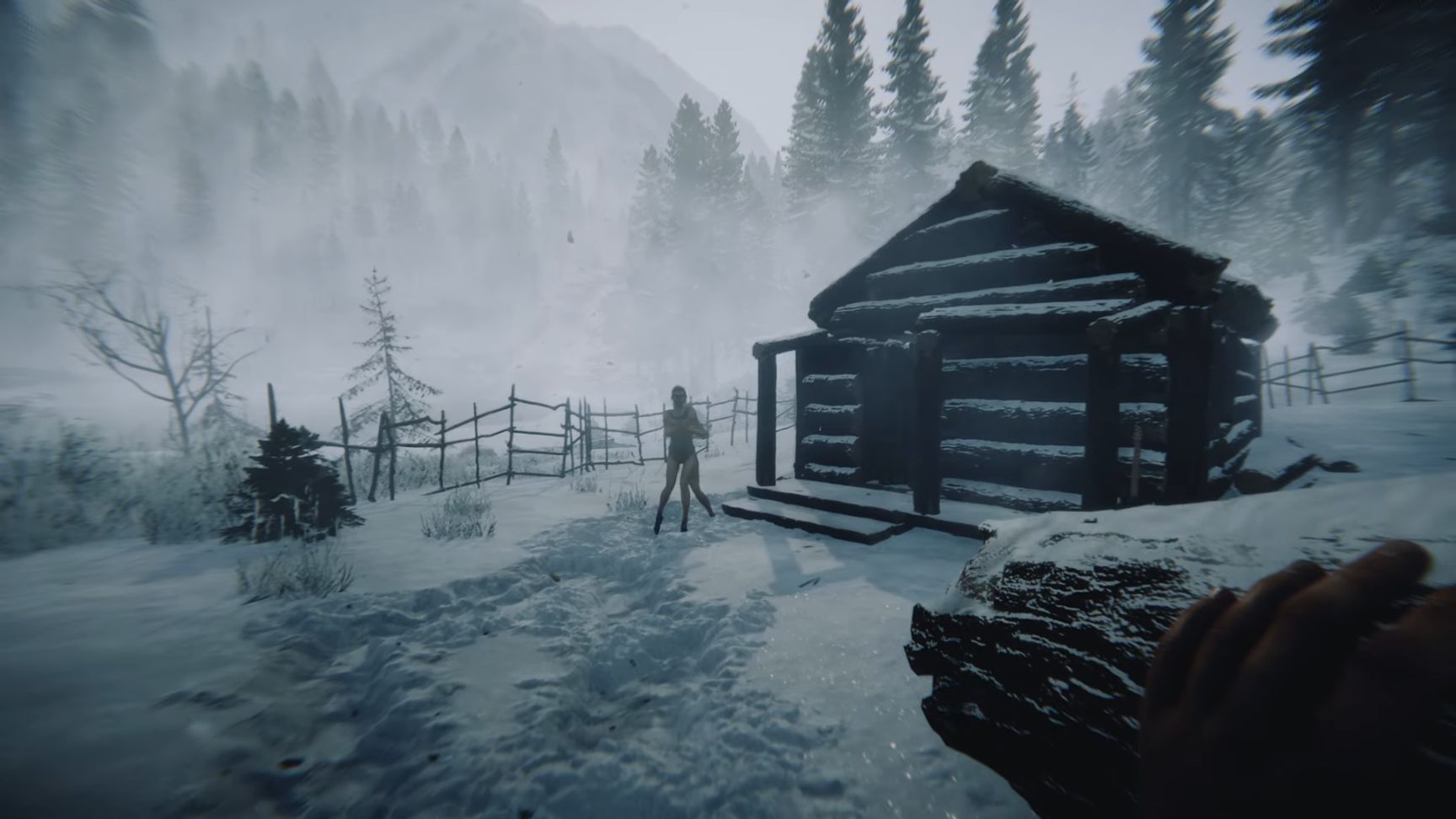 【PC游戏】建造房屋驯服野人，《森林之子》Steam 同时在线人数超 41 万-第8张