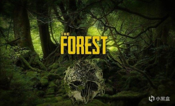 《森林之子》：恐怖游戏也欢乐-第0张