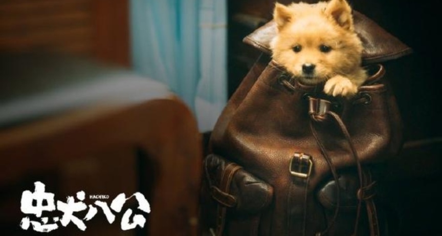 《忠犬八公》豆瓣評分8.2