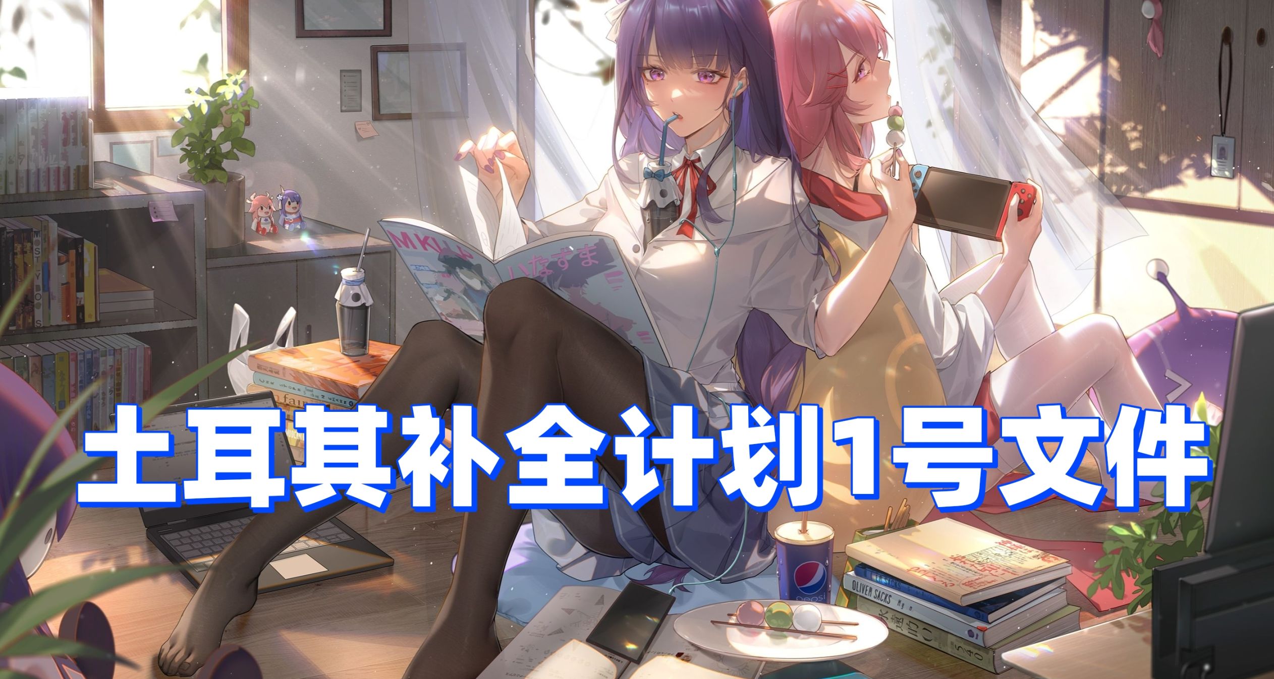 土耳其補全計劃1號文件