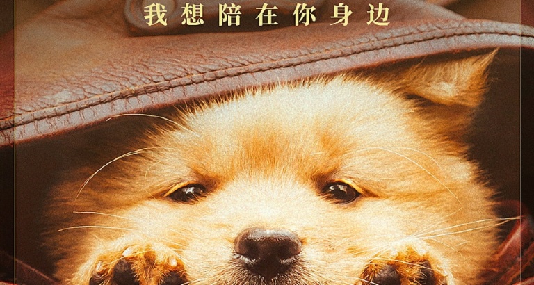 《忠犬八公》電影票房破億.