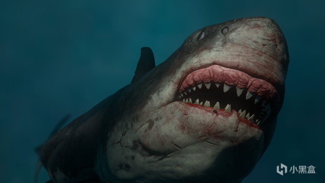 【影視動漫】UMA未確定生物：墨西哥黑魔鯊改編？R級巨齒鯊驚悚片《狂暴黑鯊》-第8張