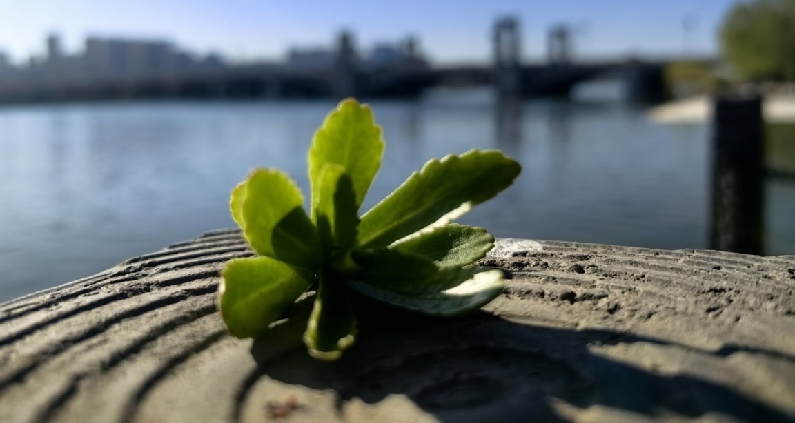大同方特一日遊談談感受