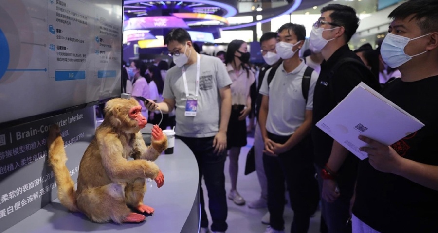 全球首例！腦機接口要來了？