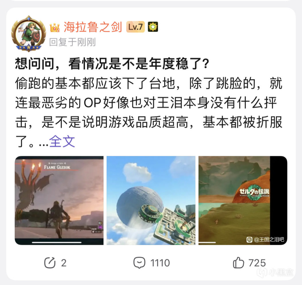 【Switch】比偷盘哥更恶心的，是骑脸正版玩家的“破解狗”-第11张