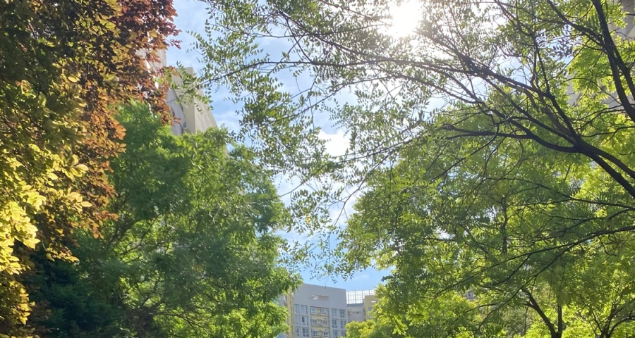 高考第一天