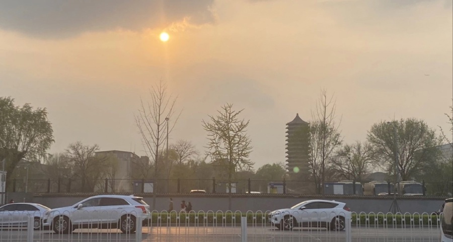 保持“活着”——卸載b站一週的想法