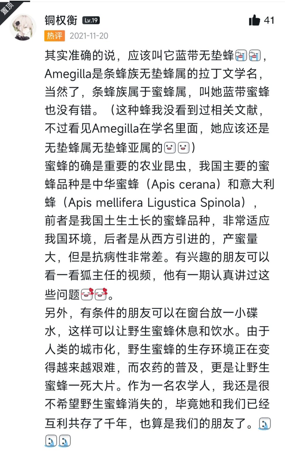 [奇怪生物日志]蜜蜂可不止黄色的哦，还有...