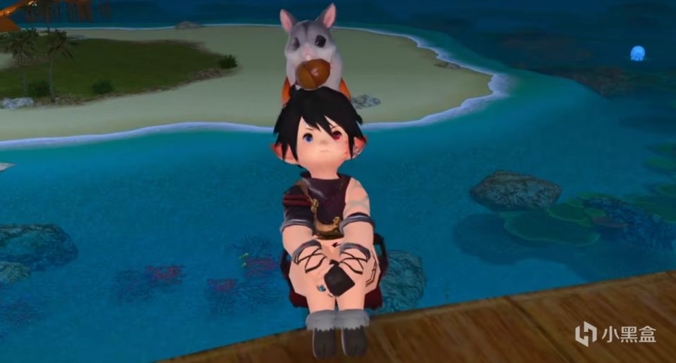 【最終幻想14】FF14中你可能還不知道的遊戲冷知識？總長艾默裡克也有童趣一面-第3張