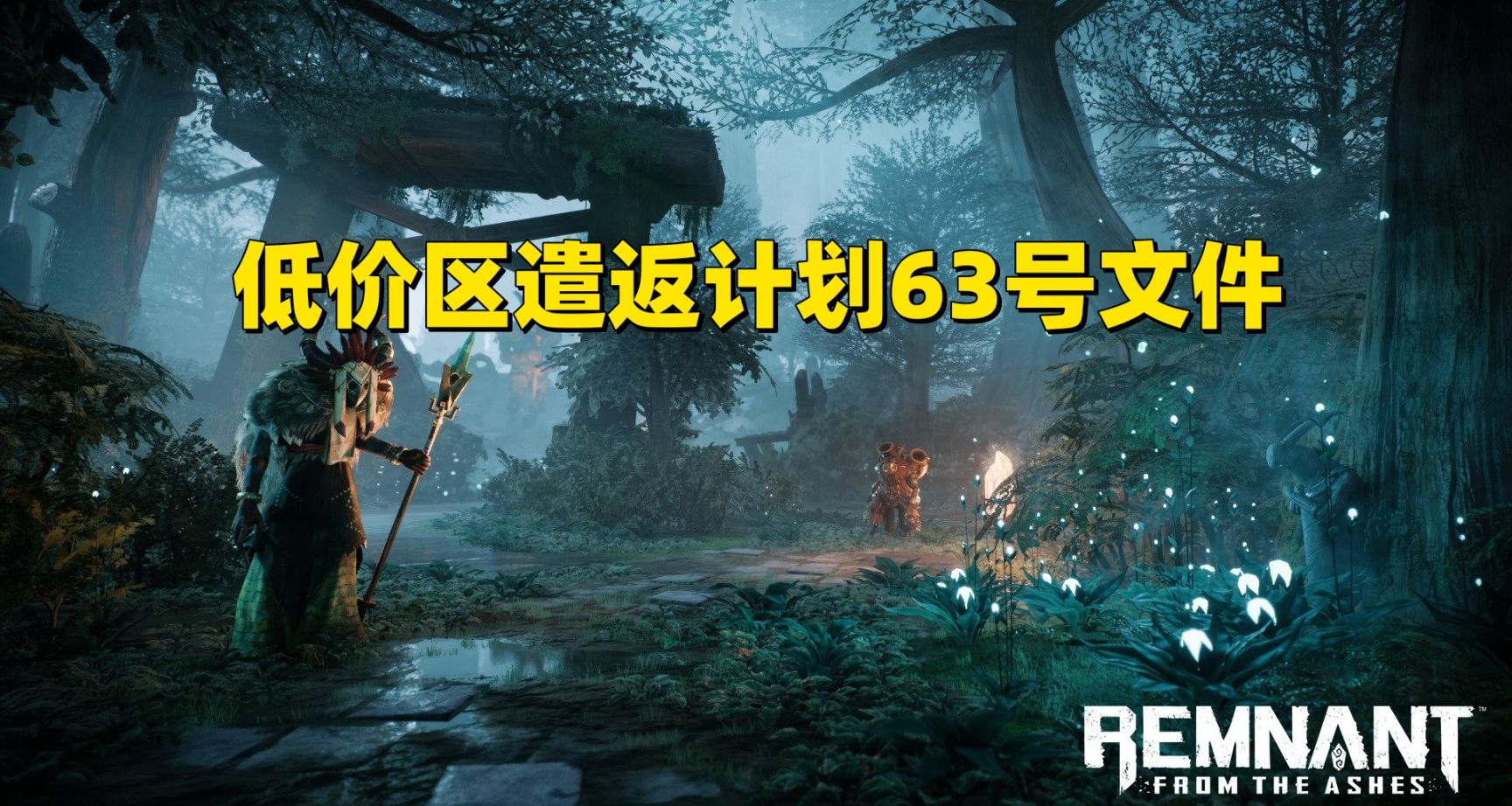 低价区遣返计划63号文件