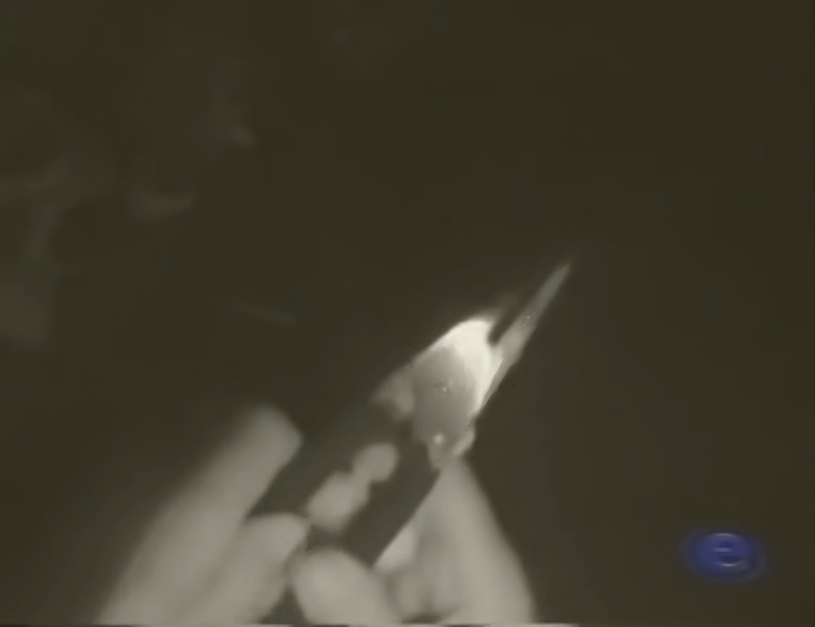 《潜水员戴夫》 用生命践行诺言 游戏背后令人感动的故事-第3张