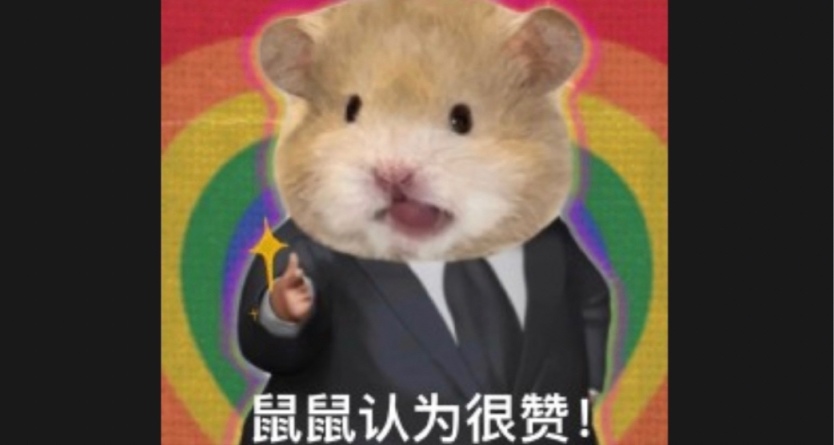 家有俩来自南美洲的蜀黍