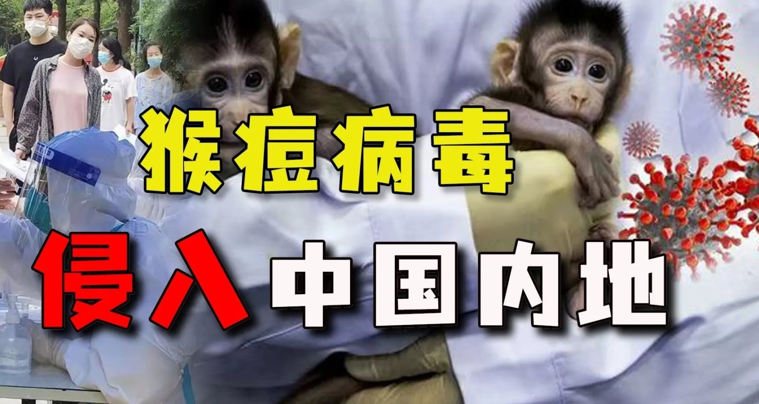 洁身自好！6月新增106例猴痘病例