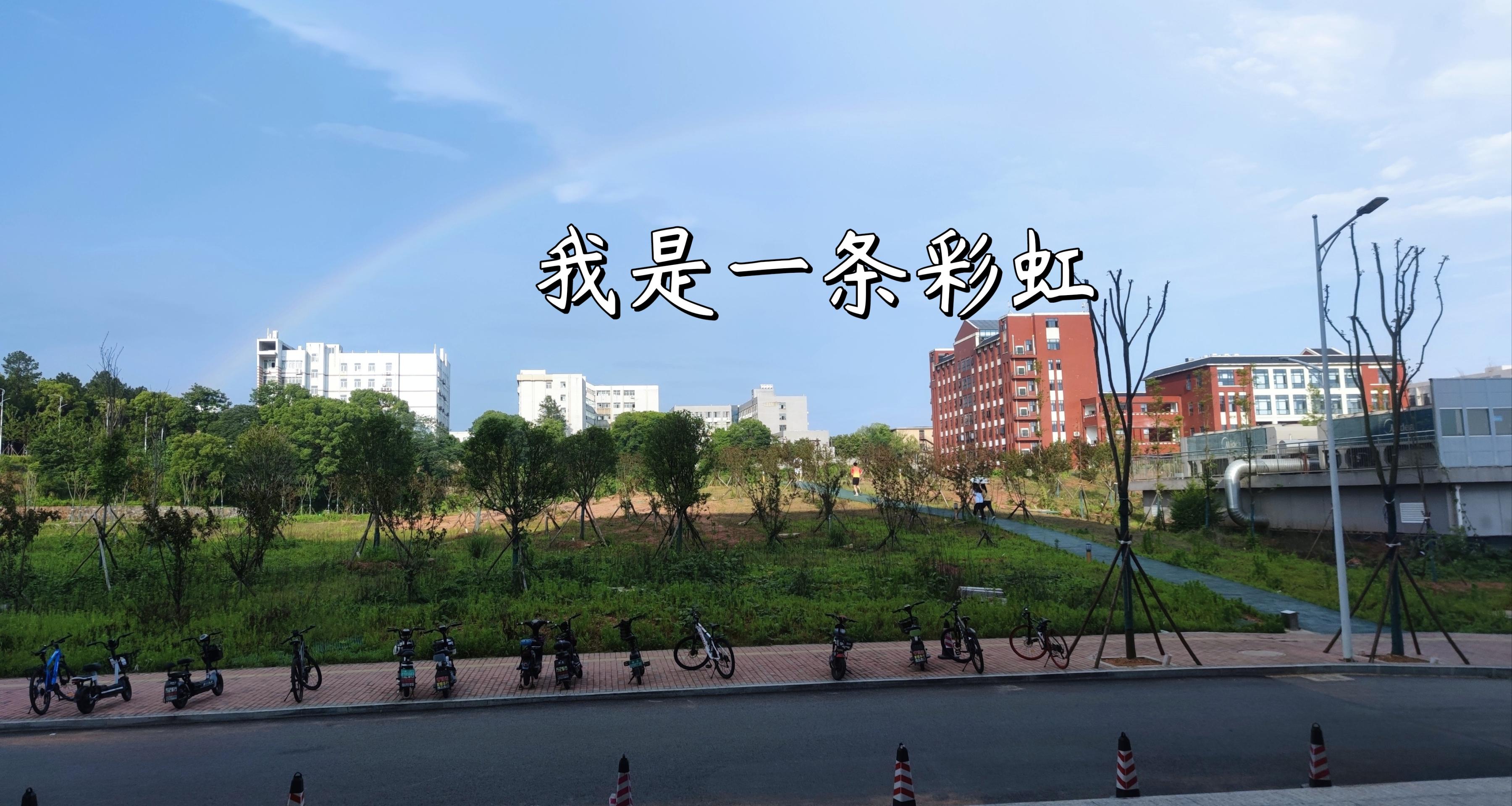 研究生-打白工的不歸路