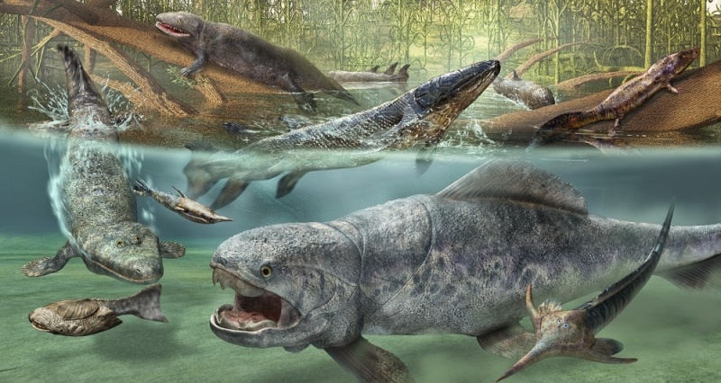 上班摸魚，一些泥盆紀生物