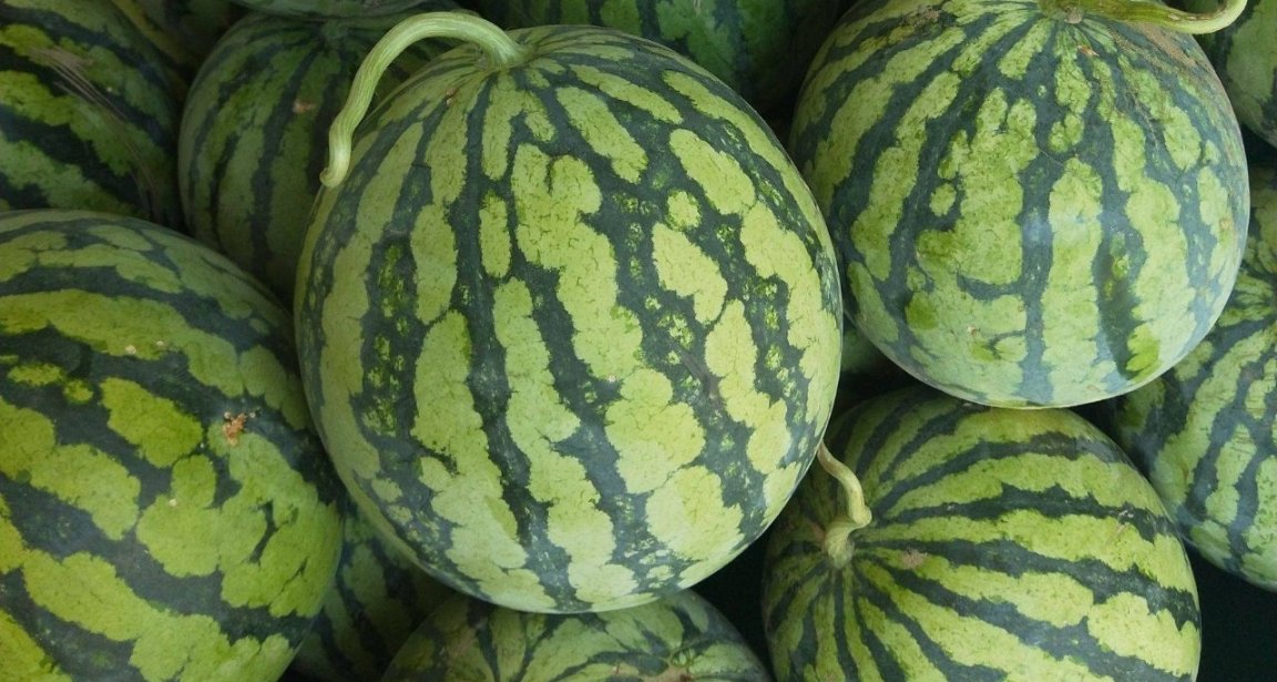 【个人经验】论吃瓜