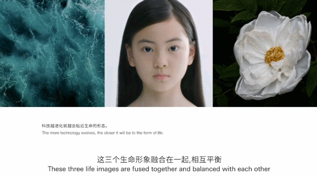 从小米到推特，logo变化到底应该大刀阔斧还是缝缝补补呢？