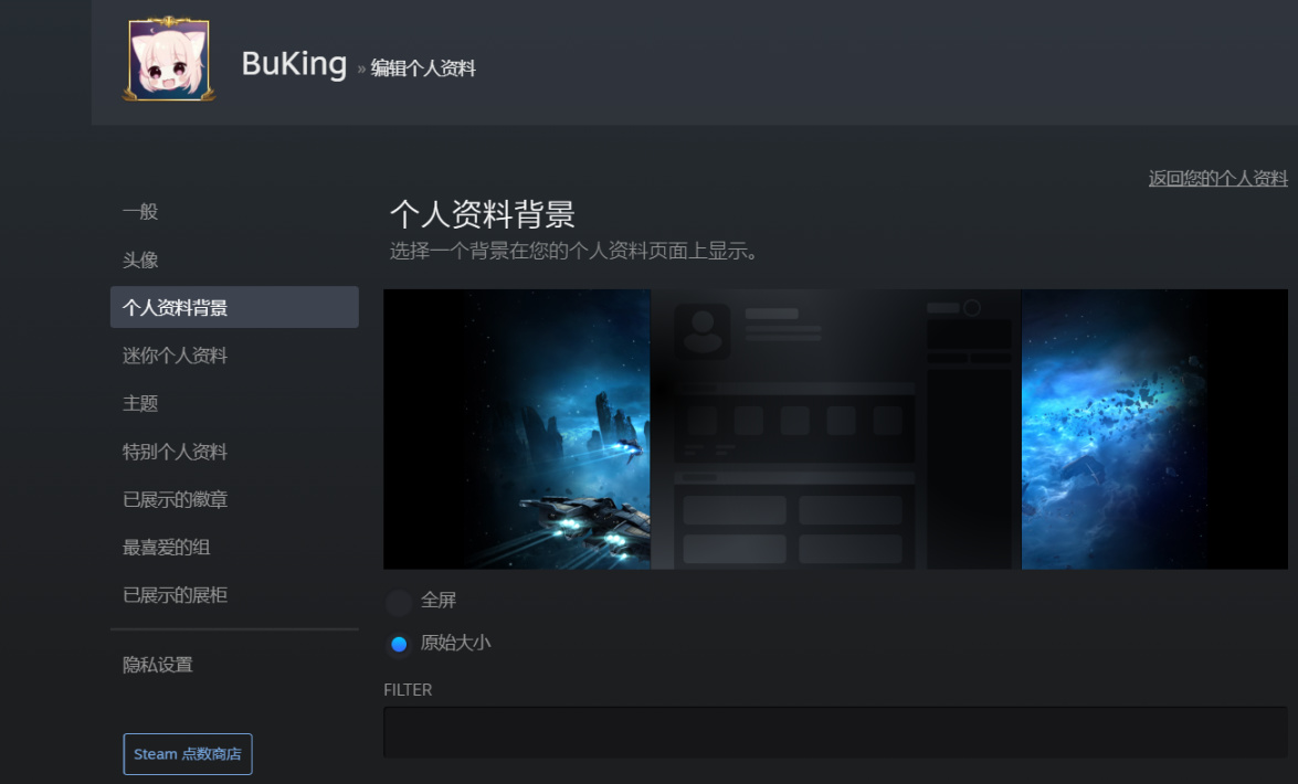 【PC游戏】steam个人资料主页美化！手把手教程！！-第10张