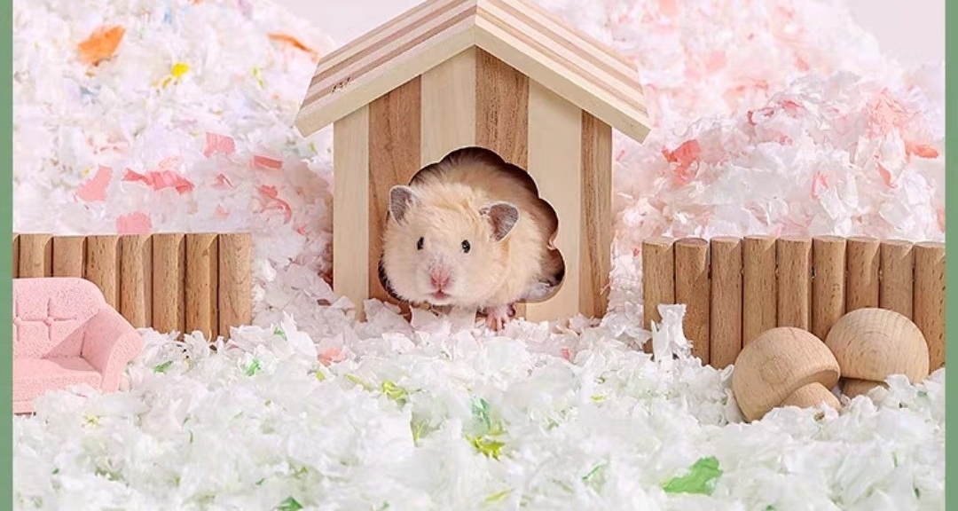 【仓鼠饲养干货教程】鼠鼠我呀，也想成为你的宠物捏！！