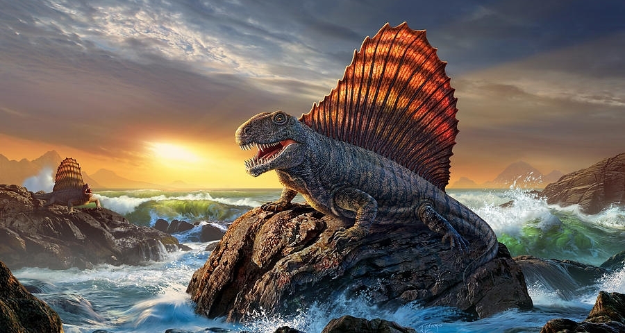 上班摸魚，一些二疊紀生物