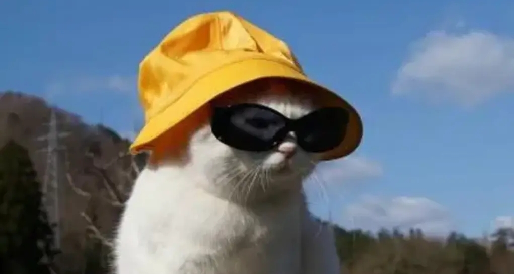 湖北多地被評選爲最熱城市，網友直呼都是熟人