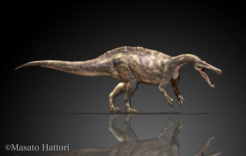 远古十二纪，恐龙登场！！