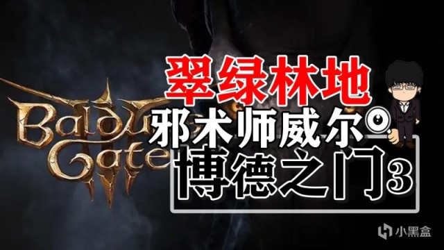 【PC遊戲】翠綠林地新隊友邪術師威爾相關！博德之門3正式版攻略-角色篇-第0張