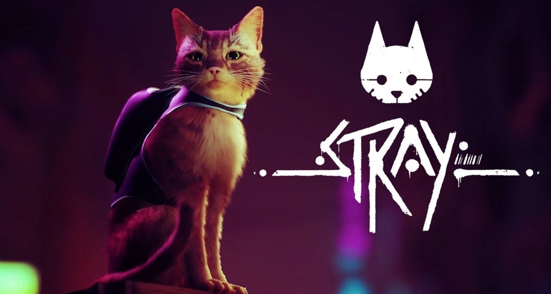 橘貓來襲！備受稱讚獨立遊戲《Stray》登陸 Xbox 平臺