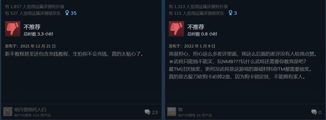 【PC遊戲】最難繃的一集:steam離譜評論大賞-第12張