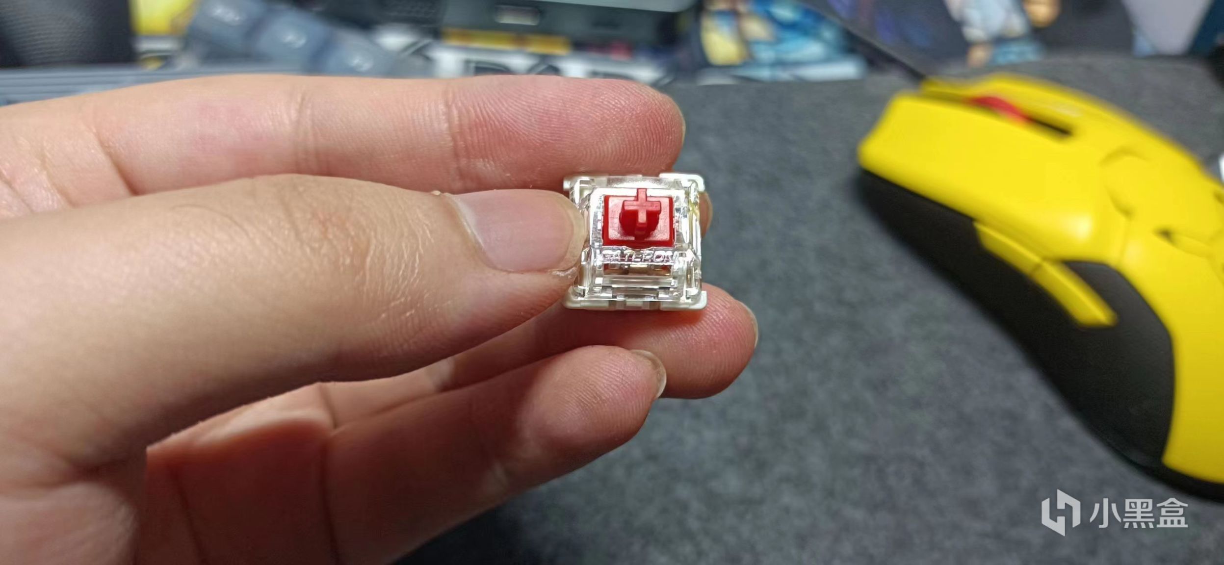 HEXCORE W800，新晋的300价位87配列的六边形战士？