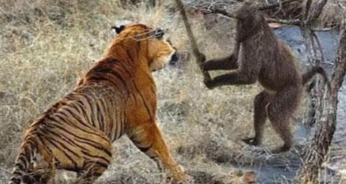 黑神話悟空:虎先鋒首次亮相，一衆試玩被虐