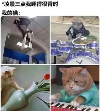 【沙雕日常】上班摸魚弔圖～超級多貓貓2-第87張