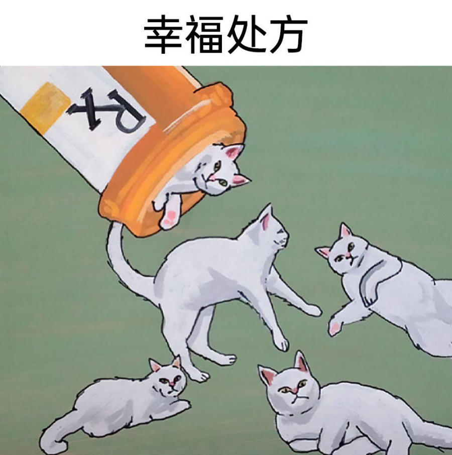 【沙雕日常】上班摸鱼弔图～超级多猫猫2-第64张