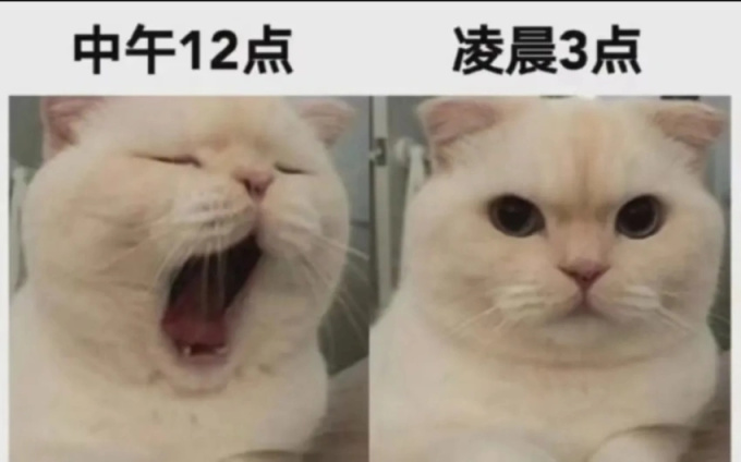 【沙雕日常】上班摸魚弔圖～超級多貓貓2-第10張