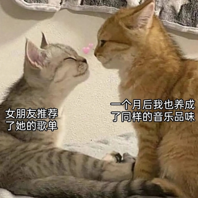 【沙雕日常】上班摸鱼弔图～超级多猫猫2-第17张