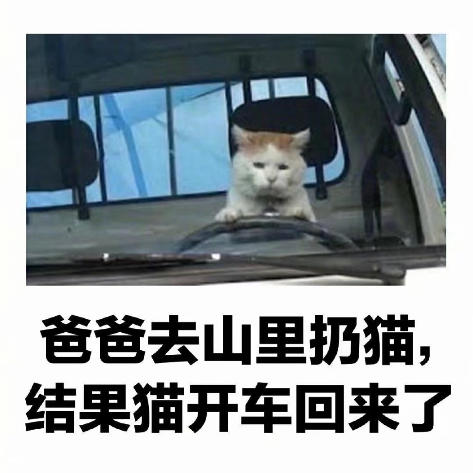 【沙雕日常】上班摸魚弔圖～超級多貓貓2-第72張