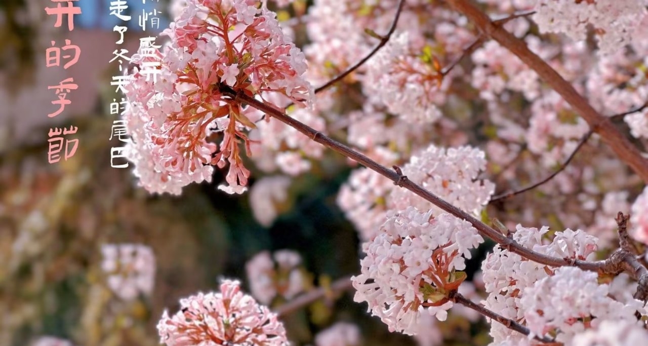 推薦幾部起點好評小說（三）