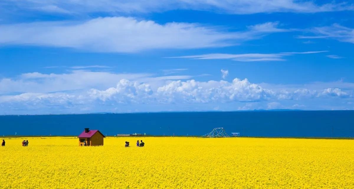 推薦幾部起點好評小說（六）