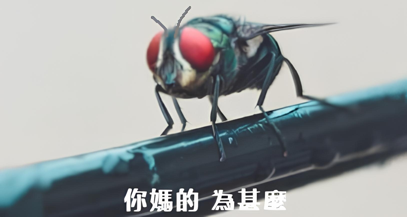 盘点小时候看过的特摄名场面（二）