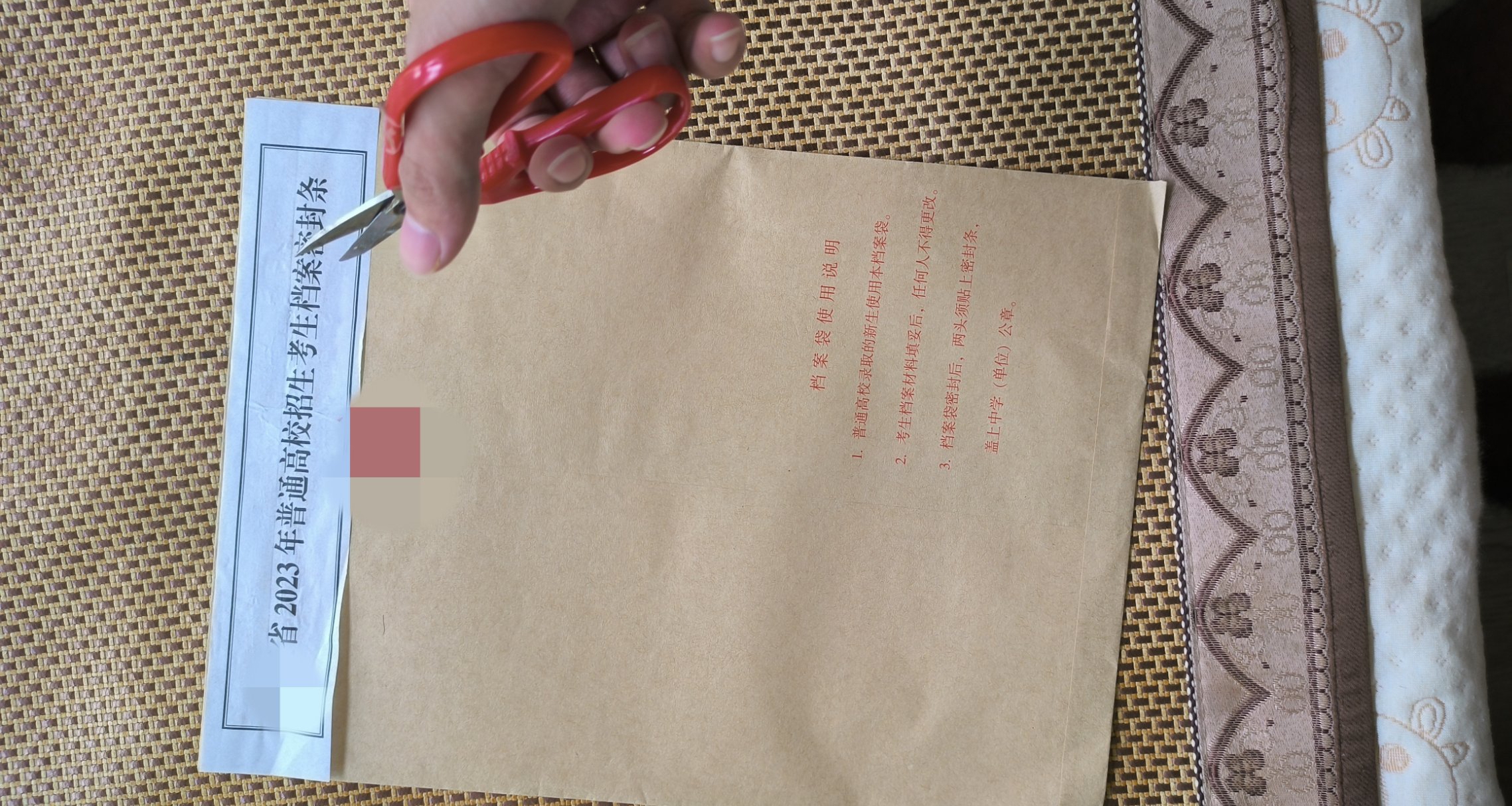 档案里面到底有什么？我一个没忍住