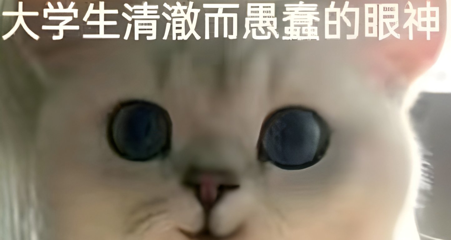 雪景初見：南方學子的東北求學經驗分享