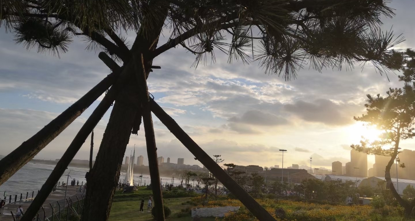 大學：你的新旅途，你的新起點