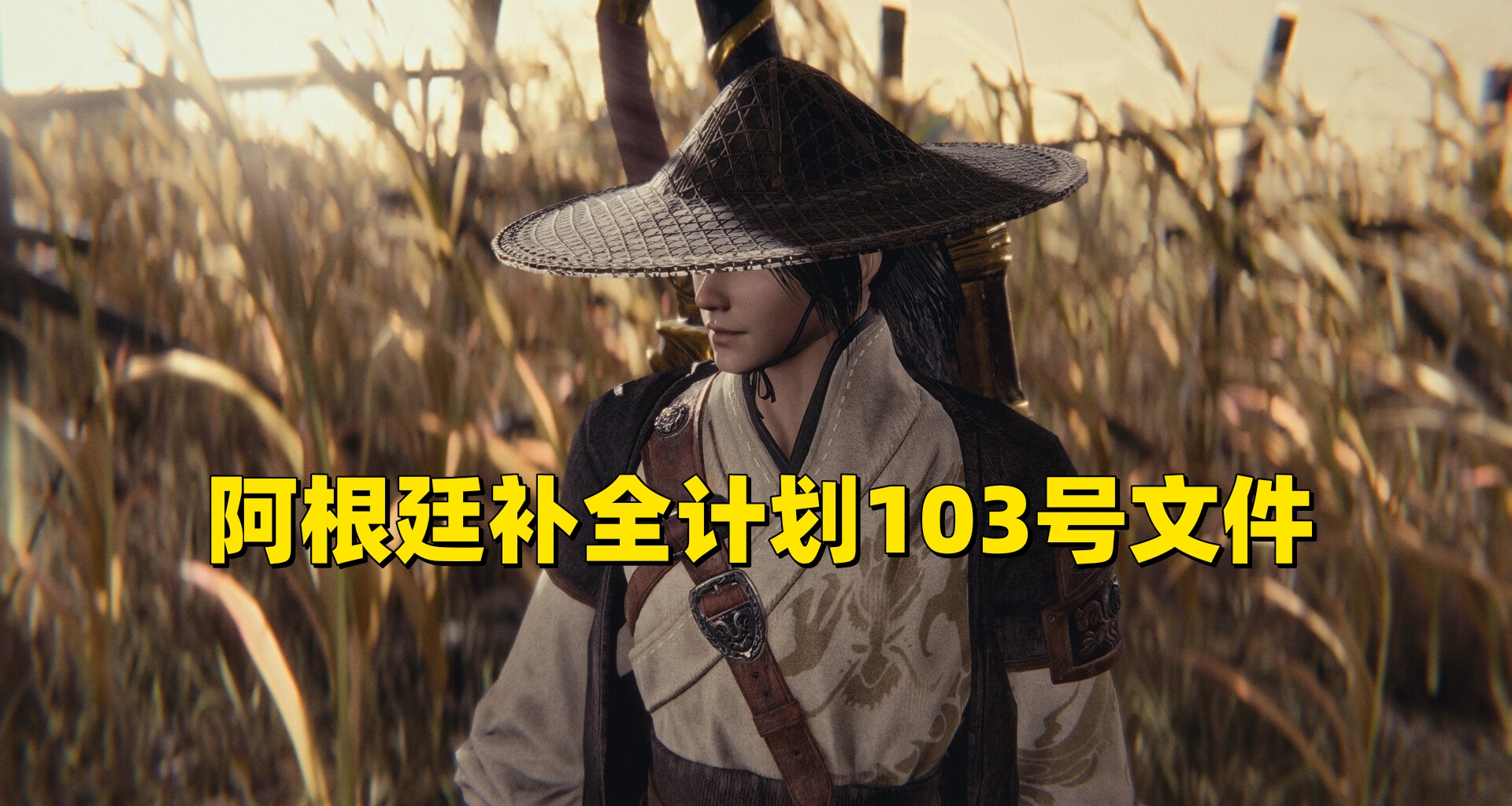 阿根廷补全计划103号文件武侠