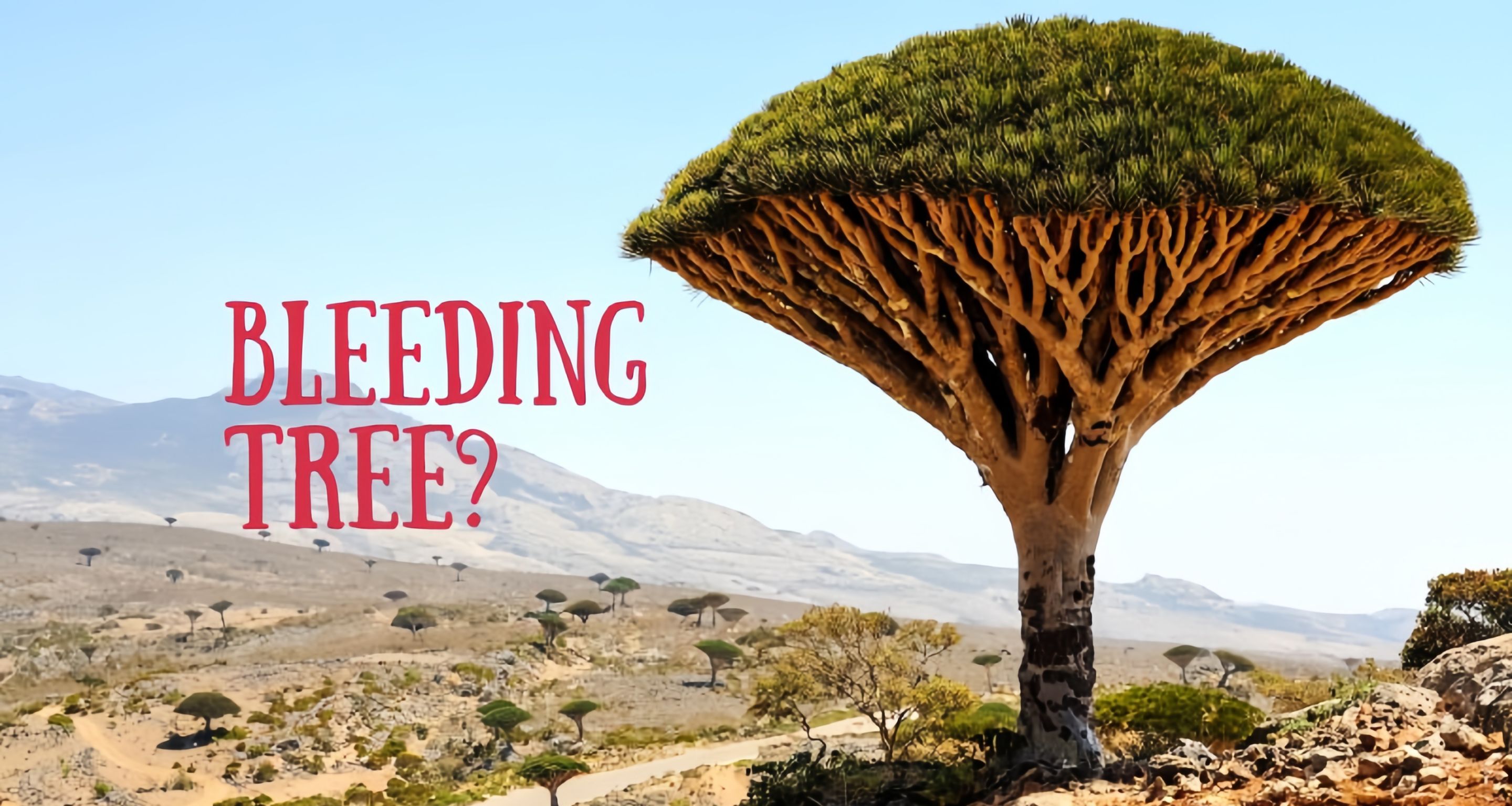 [奇怪生物日誌]準備好來到異星世界了嗎？