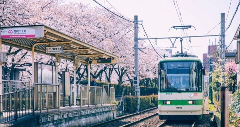 文章名叫《樱落》，以此纪念高中时还有想象力的我