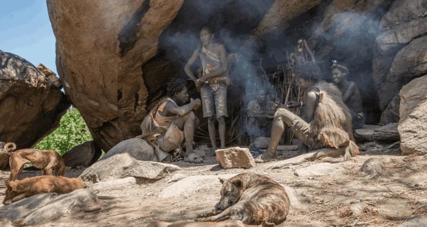 你是否注意過這些刻在人類基因裏的禁令