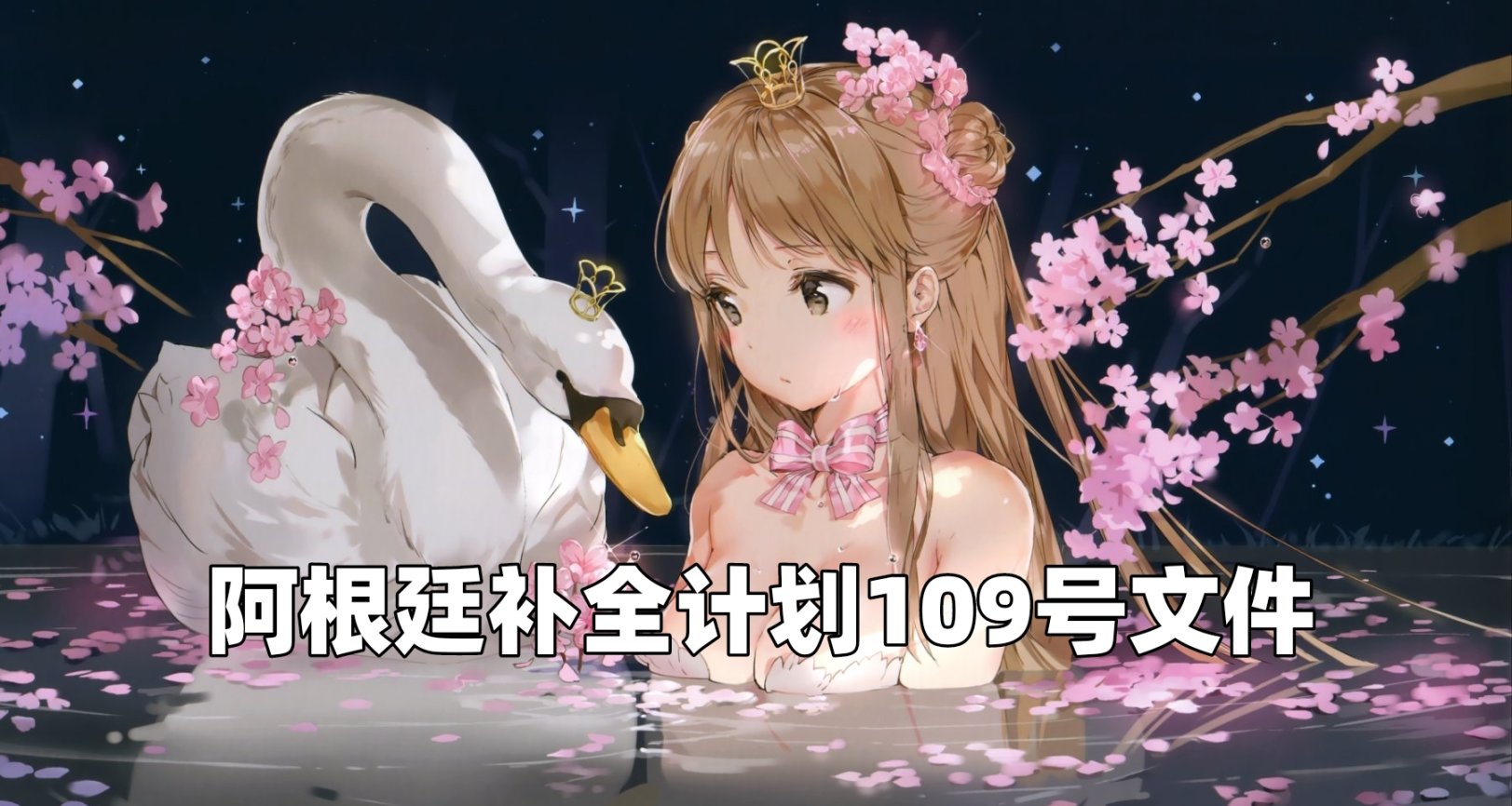 阿根廷补全计划109号文件