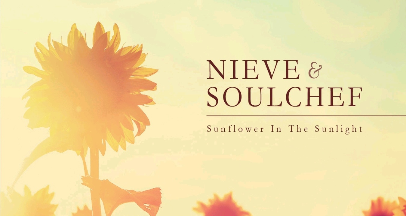 我想安利给大家的十首歌曲