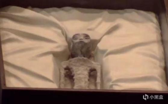 外星人来了？墨西哥展出两具疑似外星生物遗骸！