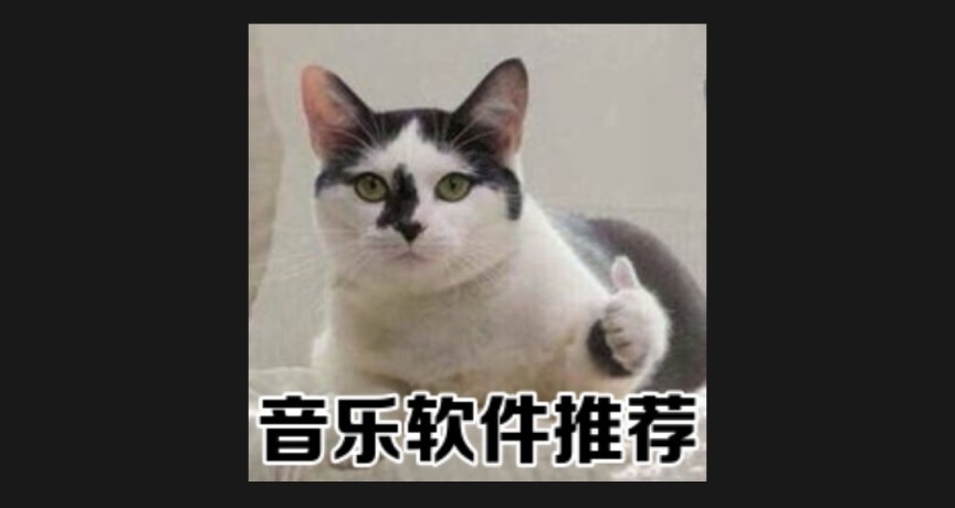 給大家分享免費音樂軟件